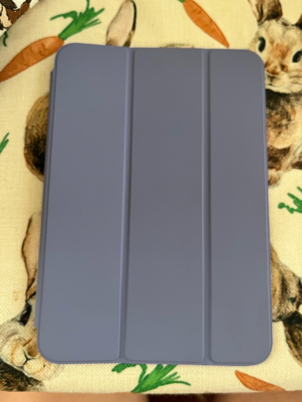 Apple iPad mini 6 gen. Case magnetic in English lavender